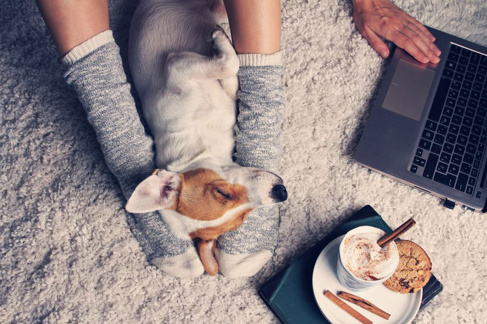 Enjoy playing with her french bulldog.